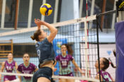 Calcit Volley - Nova KBM