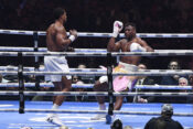 Francis Ngannou