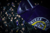 Viole