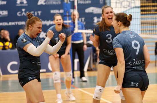 Calcit Volley
