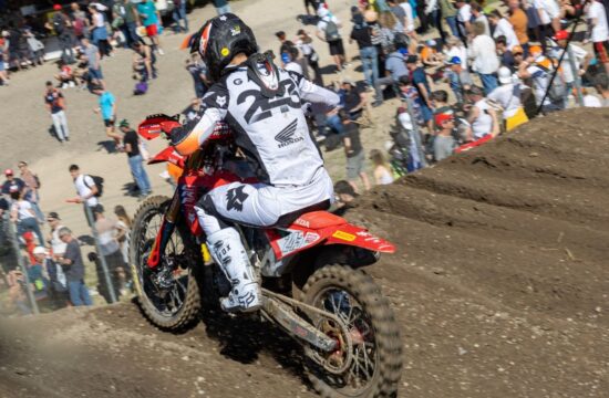 Tim Gajser