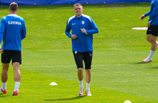 Josip Iličić