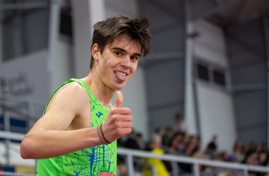 Vid Botolin