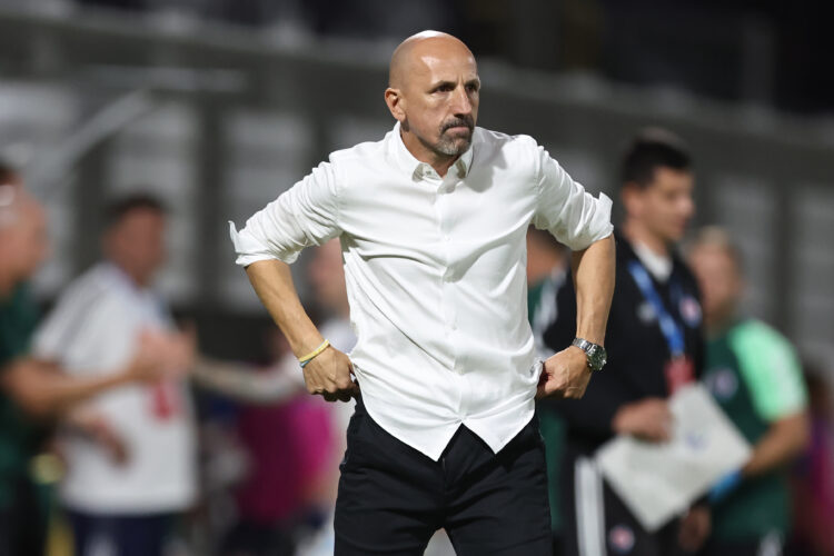 Damir Krznar