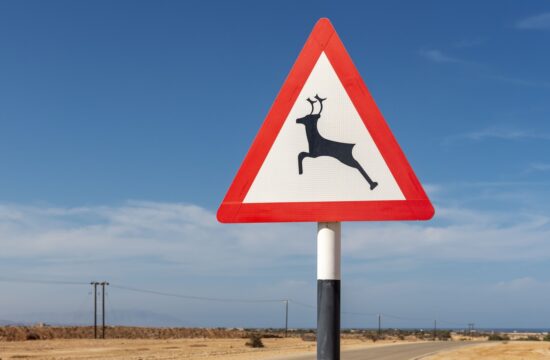 Deer warning sign, Oman