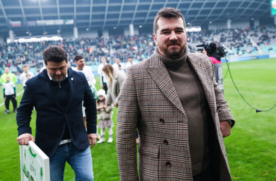 Goran Boromisa