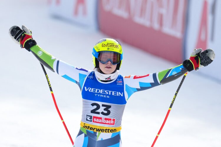 Neja Dvornik