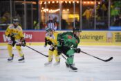 Dunaj - Olimpija