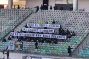 Celjski grofje