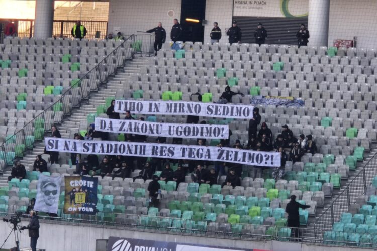Celjski grofje