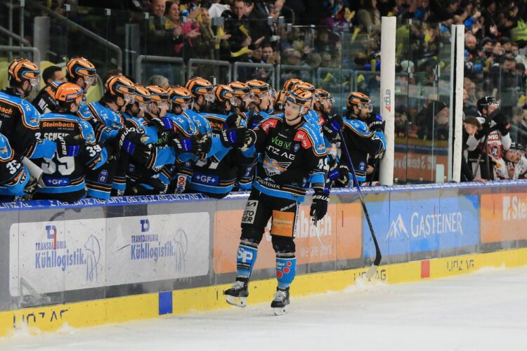 Black Wings Linz