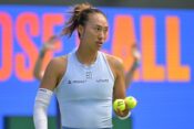 qinwen zheng