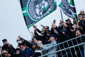 Green Dragons