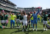 Palmeiras