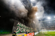 Green Dragons