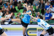 Ana Abina