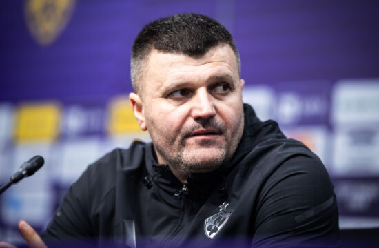 Feđa Dudić