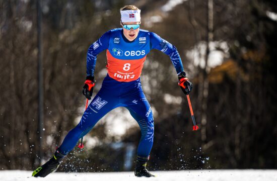 Einar Hedegart