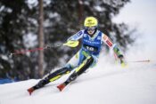 Neja Dvornik
