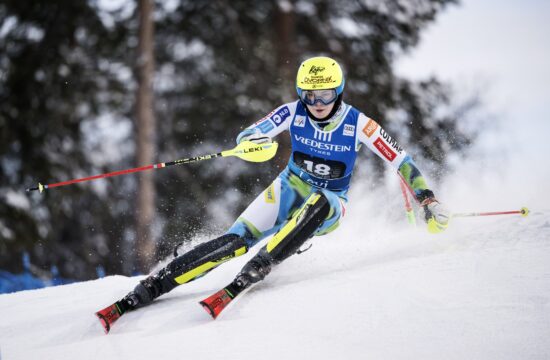 Neja Dvornik