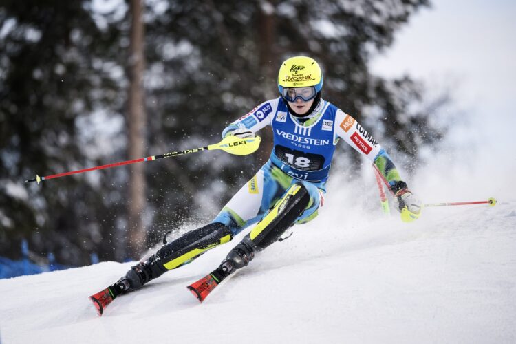 Neja Dvornik