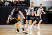 Trimo Trebnje - Gorenje Velenje