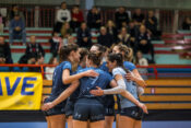 Calcit Volley