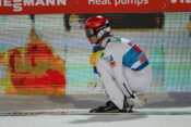 Manuel Fettner