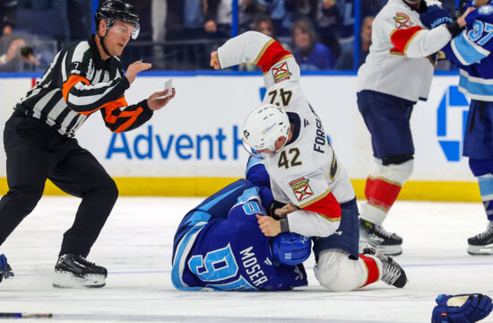 fight NHL