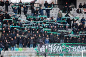 Green Dragons