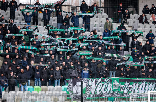 Green Dragons