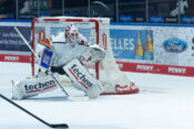 Dustin Tokarski