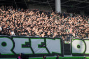 Green Dragons