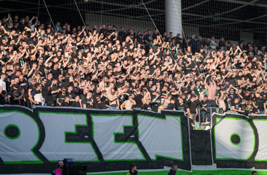 Green Dragons