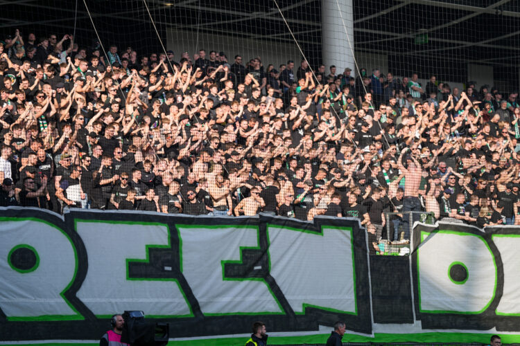 Green Dragons