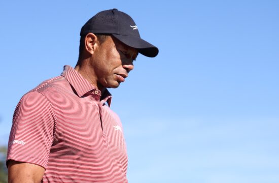 woods