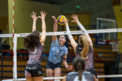 Calcit Volley - OTP banka Branik