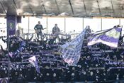 Viole