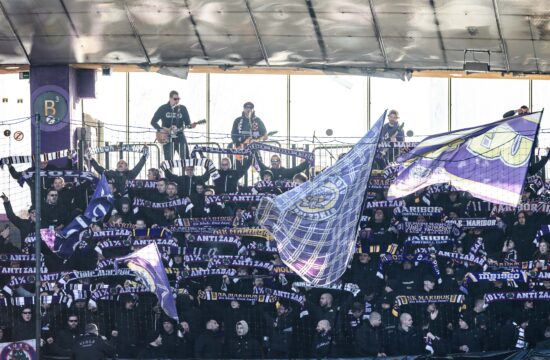 Viole