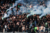 Green Dragons