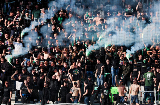 Green Dragons