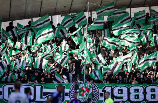 Green Dragons