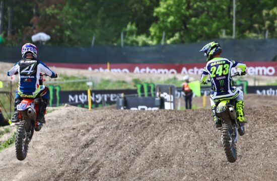 Gajser
