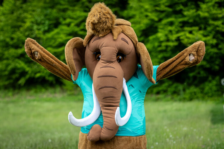 Mamut, maskota, Velko