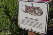 Rattlesnake warning sign
