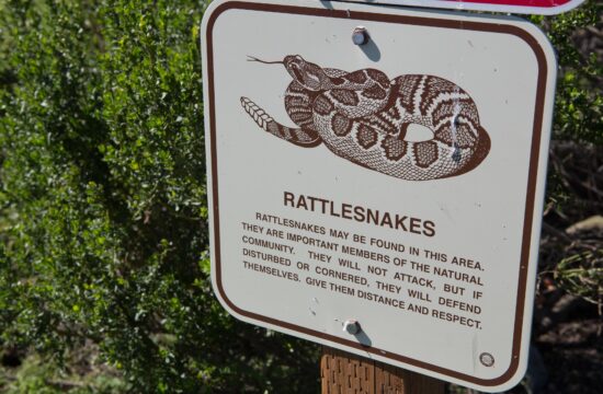 Rattlesnake warning sign