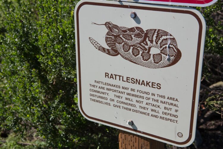 Rattlesnake warning sign