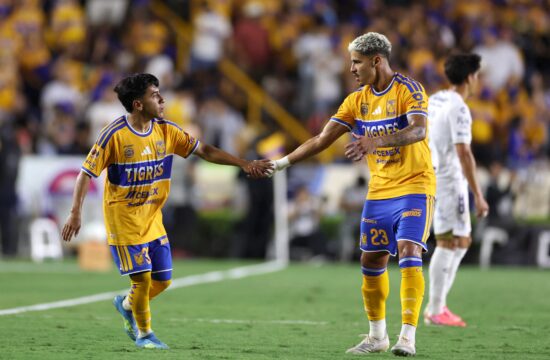 Tigres
