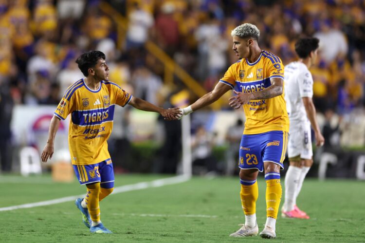 Tigres
